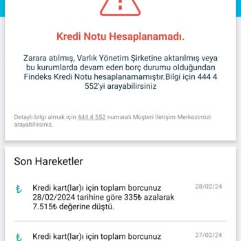 Findeks Risk Raporu Kredi Puanı