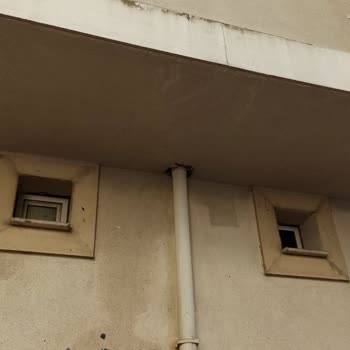 Aksigorta Aves Sigorta Ekspertiz Yalan Beyan