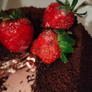 Liva Pastanesi (livashop.com) Liva Bozuk Pasta