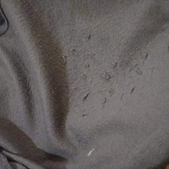 Ender Mağazası Kıyafet Şikayet Şikayet