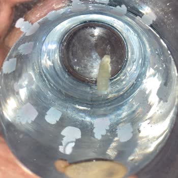 Sırma Suyun İçinden Kurt Çıktı