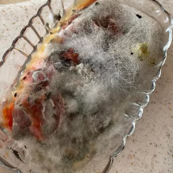 Şikayet Var Arçelik 274532 Eb Buzdolabı