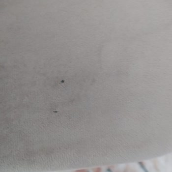 Evkur Alışveriş Arızalı Ürün Teslim Alındı