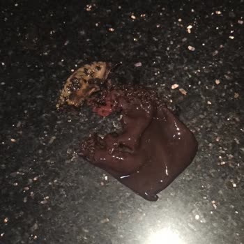 Meysu Meyve Suyunun İçinden Çıkan Belirsiz Madde