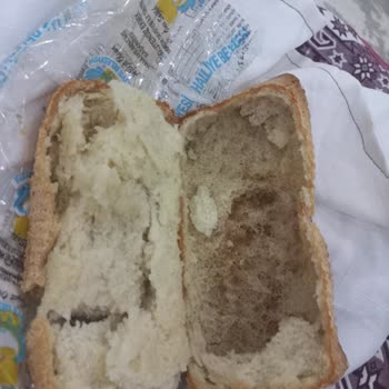 Haliliye Belediyesi Haliliye Çolyak Ekmek Fırını