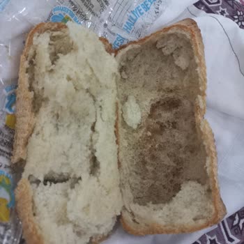 Haliliye Belediyesi Haliliye Çolyak Ekmek Fırını
