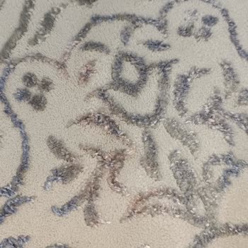 Biobellinda Halılarım Mahf Oldu