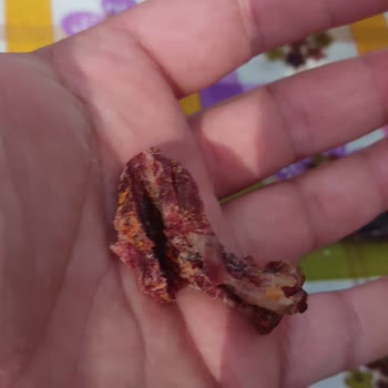 Polonez Et Ürünleri Pastırma Benzeri Ürün