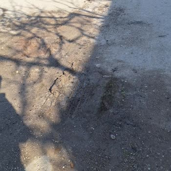 Kadirli Belediyesi Yeni Mahalle Yol Sorunu