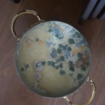 Samsung Buzdolabı Yetkili Servis 3. Kez Çağırdım, Arızam Devam Ediyor