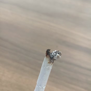 Philip Morris Odun Parçaları İçiyoruz