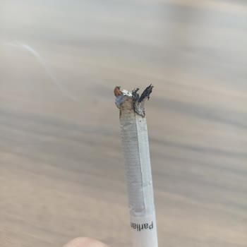 Philip Morris Odun Parçaları İçiyoruz