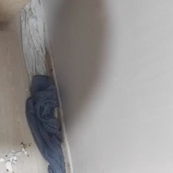 EyüpSultan Belediyesi Evime Su Sızdıran İşlemler Ve Belediye İlgisizliği