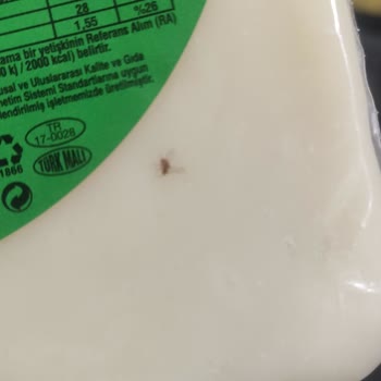 Sinekli Tahsildaroğlu Eski Kaşar