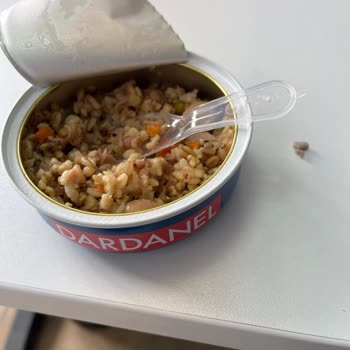 Dardanel Konserveden Taş Çıktı