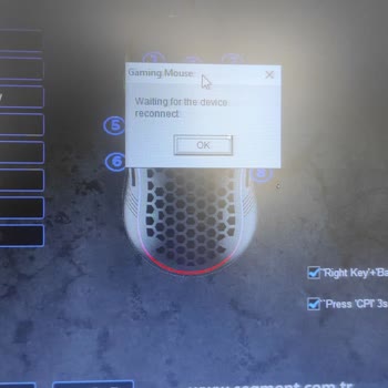 Rampage Mouse Driver Hatası