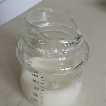 PHILIPS Ev Aletleri Philips Avent Biberon