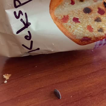 A101 Kekspır Meyveli Kek