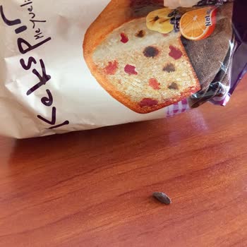 A101 Kekspır Meyveli Kek