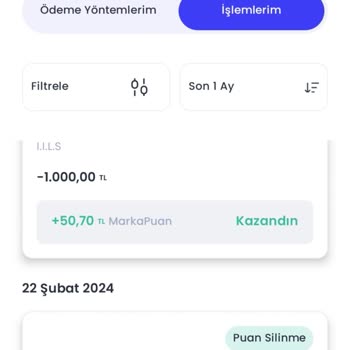 Chippin Puanlarımı Haber Vermeden Sildi.