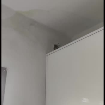 Toplu Konut İdaresi Başkanlığı