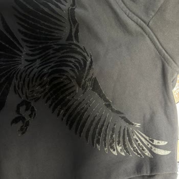 Kartal Yuvasından Aldığım Polarla İlgili Yaşadığım Hayal Kırıklığı