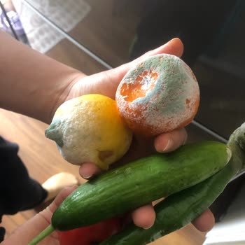 LG Marka Buzdolabı Pişmanlığı