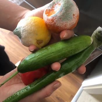 LG Marka Buzdolabı Pişmanlığı