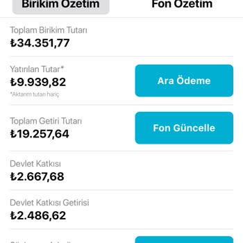 Türkiye Hayat Emeklilik BES Emeklilik Sistemi