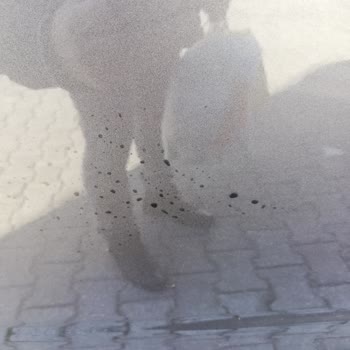 Citroen Malına Sahip Çıkmıyor. Kusurlu Araç Satıyor