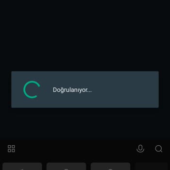 WhatsApp Resmi Uygulama Hatası