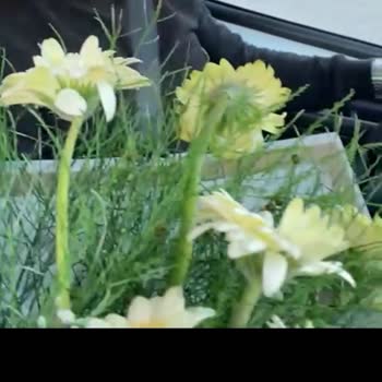 ÇiçekSepeti Çok Kötü Bir Deneyim. Hizmet Ve Teslimat Çok Zayıftı.