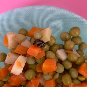 Garnitürdeki Beklenmedik Misafir: BİM Ürün Deneyimi