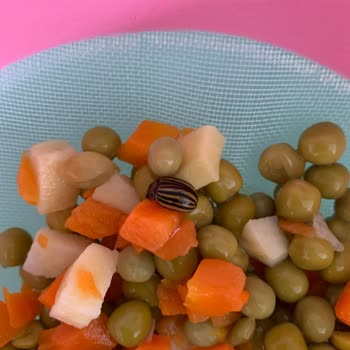 Garnitürdeki Beklenmedik Misafir: BİM Ürün Deneyimi