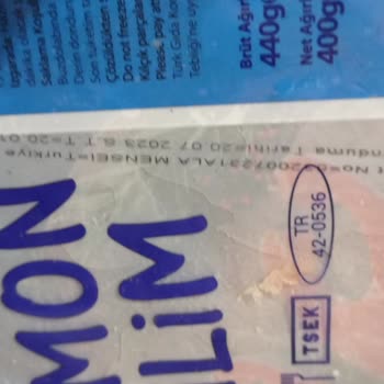 BİM Den Alınan Donuk Balık