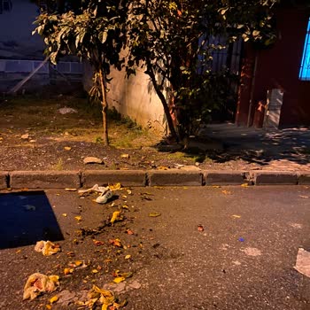 İBB - İstanbul Büyükşehir Belediyesi İstanbul Kaymakamlığı Lütfen Bu Hizmetsizliği Görün