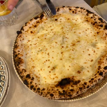 Bursa Filo D'olio Kesinlikle Gidilmez