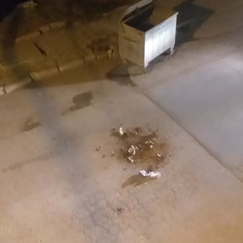 Eskişehir Tepebaşı Belediyesi Çöp Kamyonu Şikayeti