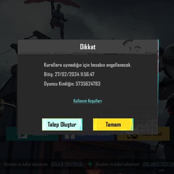 PUBG (Pubgmobile.com) Ban Atılma Olu