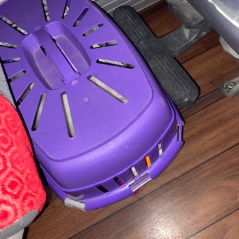 Kamil Koç'ta Evcil Hayvanımın Taşınmasında Muavin Problem Çıkarttılar