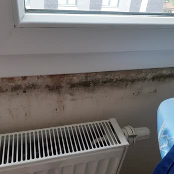 Winsa Pimapen Camlar Su Ve Buhar Ve Pimapen Altlarında Küflenme