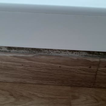 Winsa Pimapen Camlar Su Ve Buhar Ve Pimapen Altlarında Küflenme