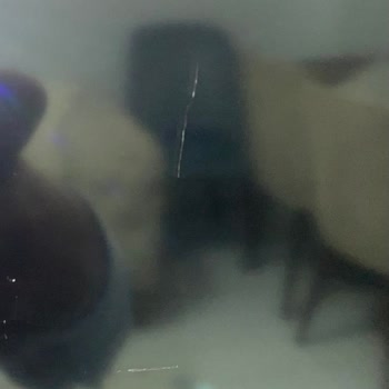 LG Ve Teknosa Ayıplı Ürün Satışı Ve İlgisizliği