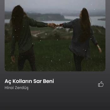 Fizy Ses Gelmeme Ve Şarkı İlerlememesi Sorunu