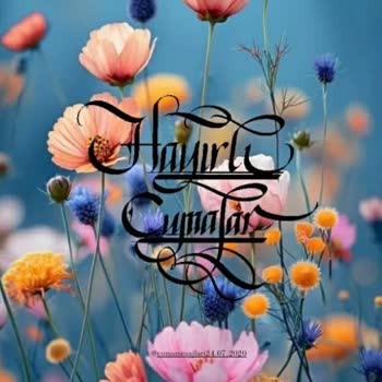 Defne Halı&Koltuk Yıkama ( Esenyurt) Halı Yıkama Hizmeti İle İlgili Memnuniyetsizlik