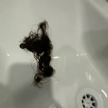 Palette 7.1 Saçsız Kaldım