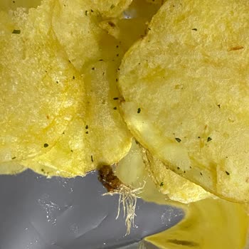 Lays Paketinden Ne Olduğunu Anlamadığımız Saçma Bir Şey Çıktı