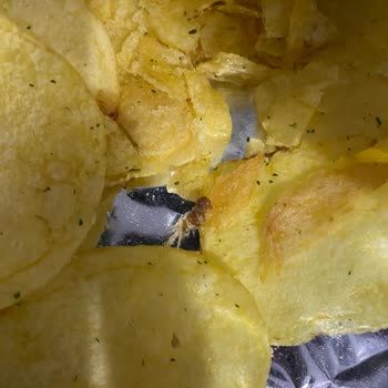 Lays Paketinden Ne Olduğunu Anlamadığımız Saçma Bir Şey Çıktı