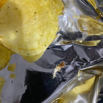 Lays Paketinden Ne Olduğunu Anlamadığımız Saçma Bir Şey Çıktı