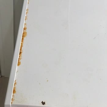 Regal Ürünleri Pişmanlıktır.